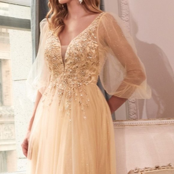 CHAMPAGNE PROM PARTY PUFFY SLEEVES A-LINE GLITTER TULLE...